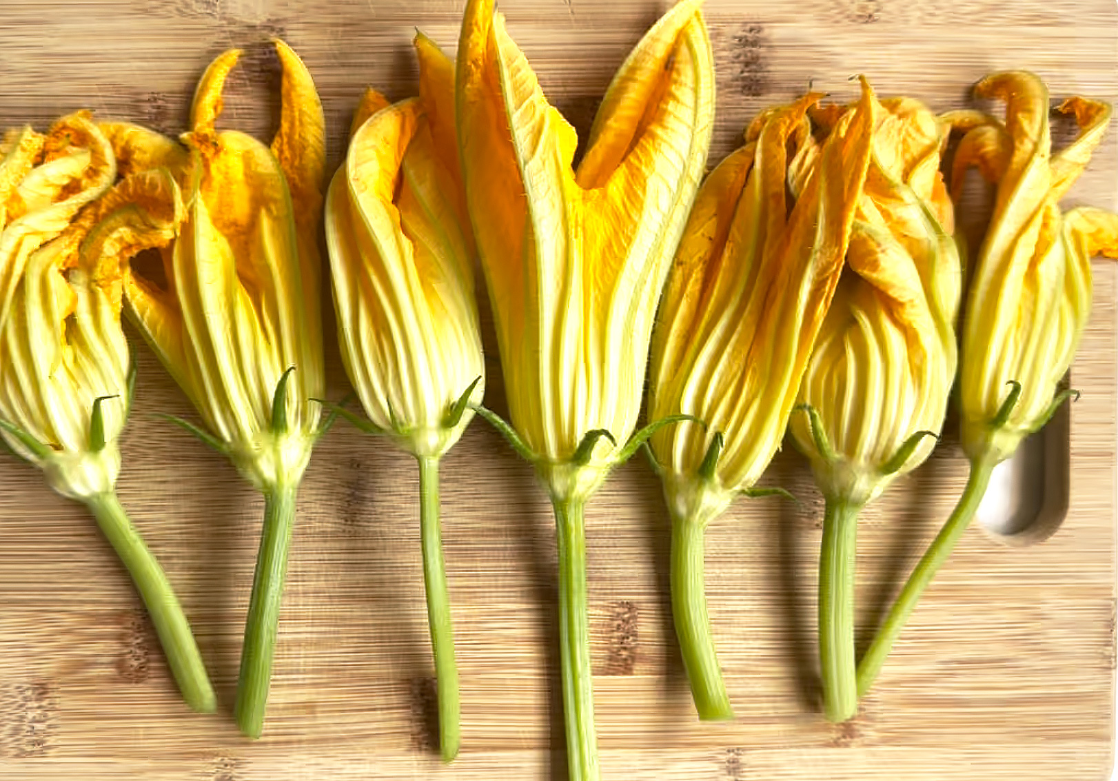Fiori di Zucca Ripieni Baked Stuffed Zucchini Blossoms - LA BELLA VITA
